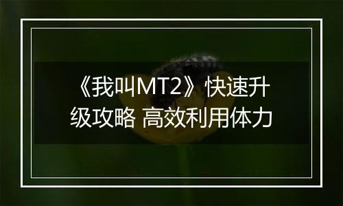 《我叫MT2》快速升级攻略 高效利用体力