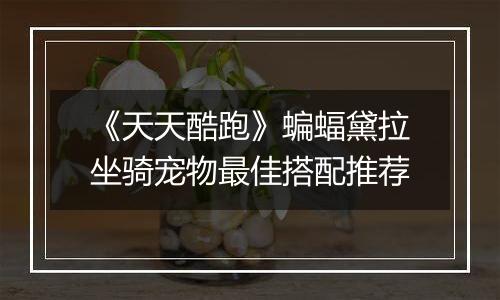 《天天酷跑》蝙蝠黛拉坐骑宠物最佳搭配推荐