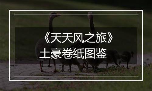 《天天风之旅》土豪卷纸图鉴