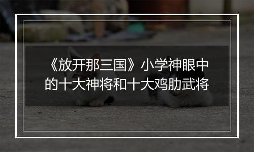 《放开那三国》小学神眼中的十大神将和十大鸡肋武将