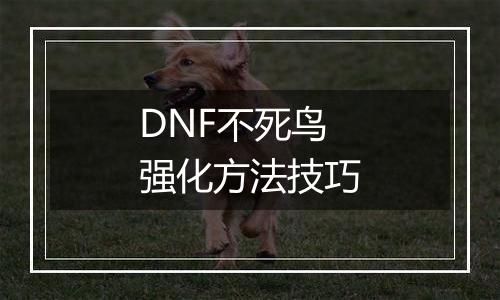 DNF不死鸟强化方法技巧