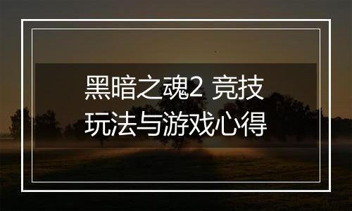 黑暗之魂2 竞技玩法与游戏心得