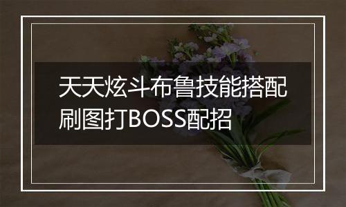 天天炫斗布鲁技能搭配刷图打BOSS配招