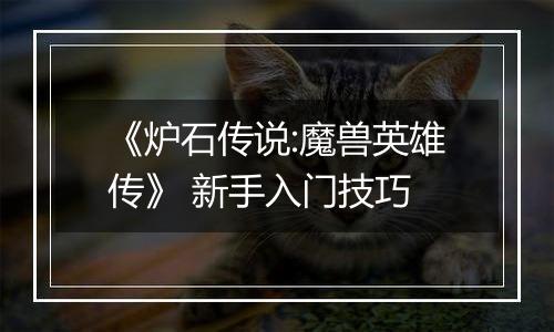 《炉石传说:魔兽英雄传》 新手入门技巧