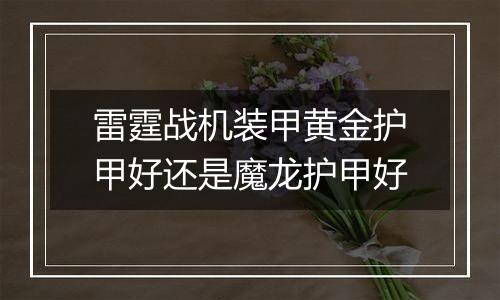 雷霆战机装甲黄金护甲好还是魔龙护甲好