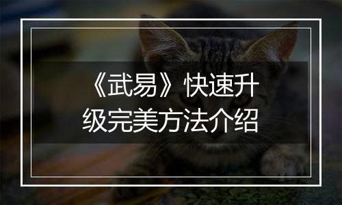 《武易》快速升级完美方法介绍