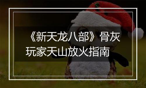 《新天龙八部》骨灰玩家天山放火指南