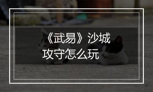《武易》沙城攻守怎么玩