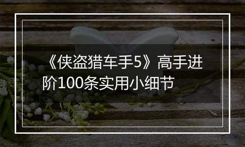 《侠盗猎车手5》高手进阶100条实用小细节
