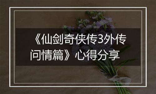 《仙剑奇侠传3外传问情篇》心得分享