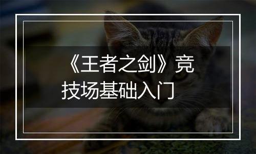 《王者之剑》竞技场基础入门