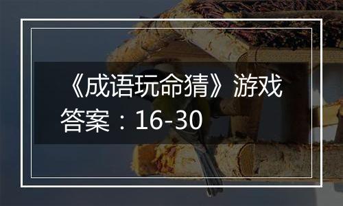 《成语玩命猜》游戏答案：16-30