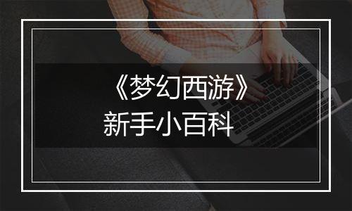 《梦幻西游》新手小百科