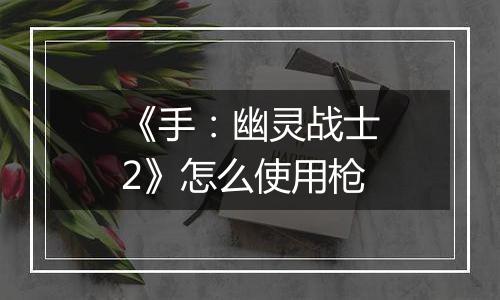 《手：幽灵战士2》怎么使用枪