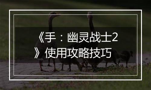 《手：幽灵战士2》使用攻略技巧