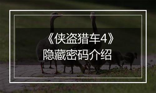 《侠盗猎车4》隐藏密码介绍