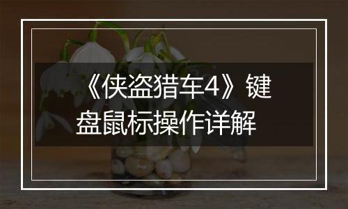 《侠盗猎车4》键盘鼠标操作详解