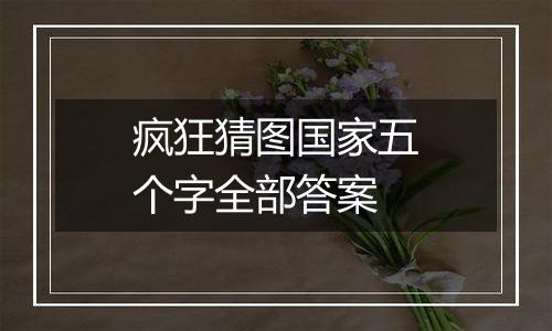 疯狂猜图国家五个字全部答案