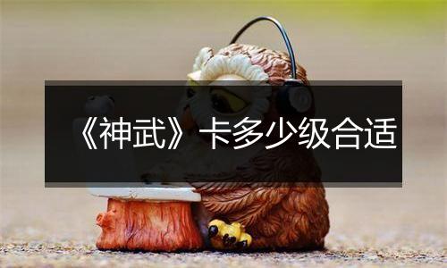 《神武》卡多少级合适