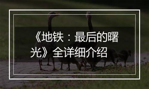 《地铁：最后的曙光》全详细介绍