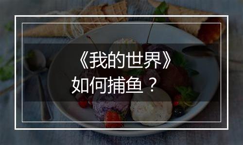 《我的世界》如何捕鱼？
