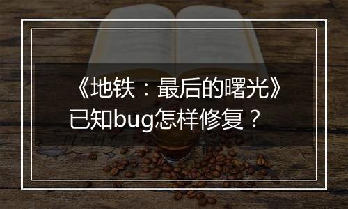 《地铁：最后的曙光》已知bug怎样修复？