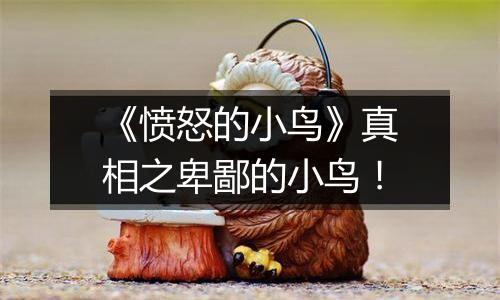 《愤怒的小鸟》真相之卑鄙的小鸟！