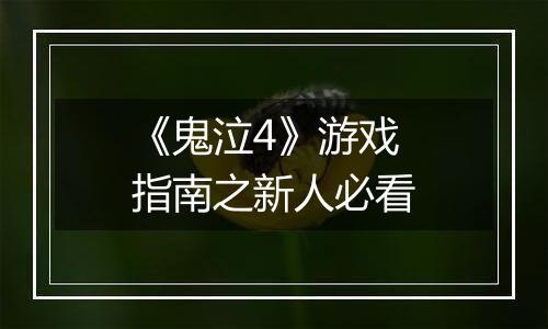 《鬼泣4》游戏指南之新人必看