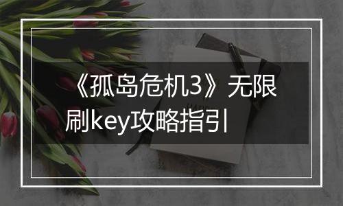 《孤岛危机3》无限刷key攻略指引