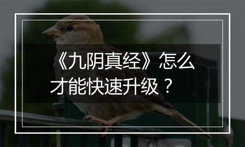 《九阴真经》怎么才能快速升级？