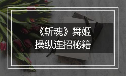 《斩魂》舞姬操纵连招秘籍