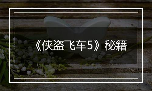 《侠盗飞车5》秘籍