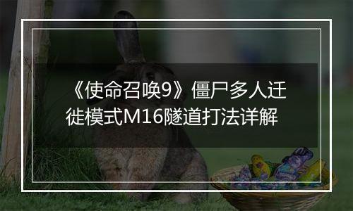 《使命召唤9》僵尸多人迁徙模式M16隧道打法详解