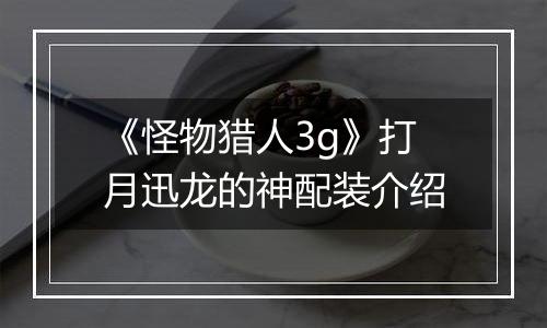 《怪物猎人3g》打月迅龙的神配装介绍