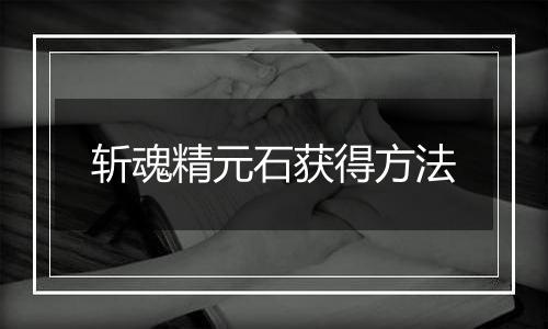 斩魂精元石获得方法