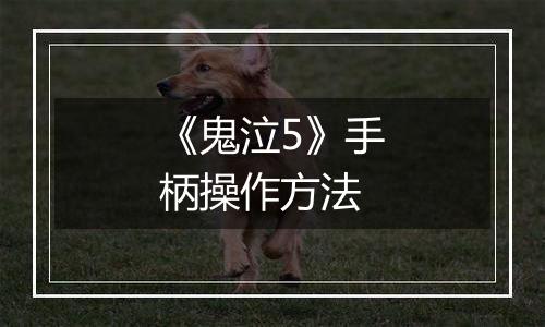 《鬼泣5》手柄操作方法