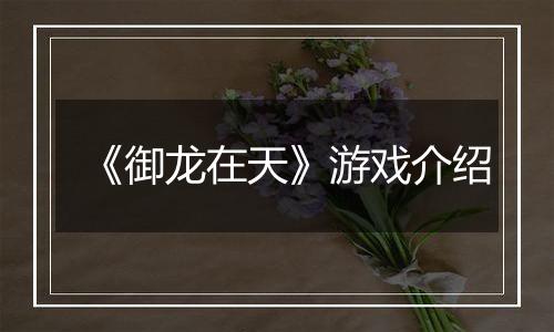 《御龙在天》游戏介绍