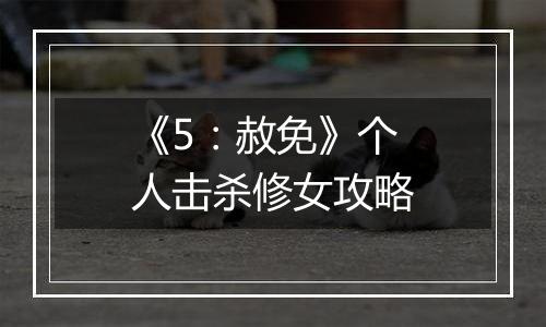 《5：赦免》个人击杀修女攻略