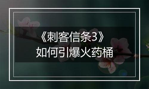 《刺客信条3》如何引爆火药桶