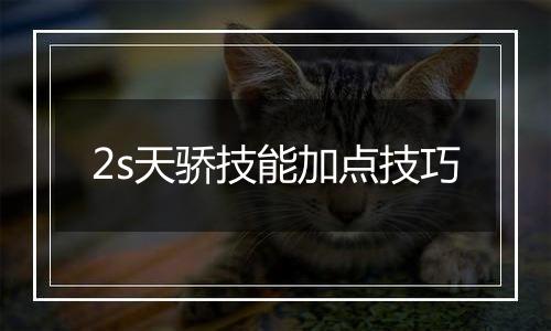 2s天骄技能加点技巧