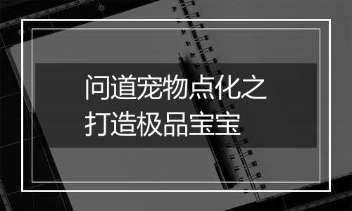 问道宠物点化之打造极品宝宝