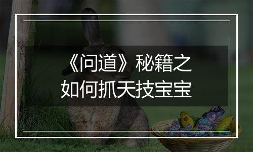 《问道》秘籍之如何抓天技宝宝