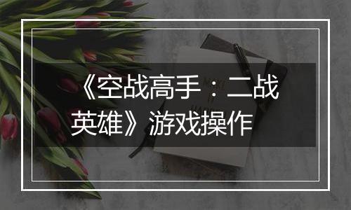 《空战高手：二战英雄》游戏操作