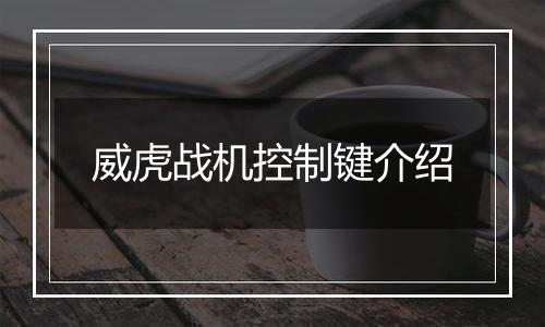 威虎战机控制键介绍