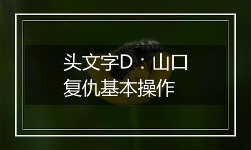 头文字D：山口复仇基本操作