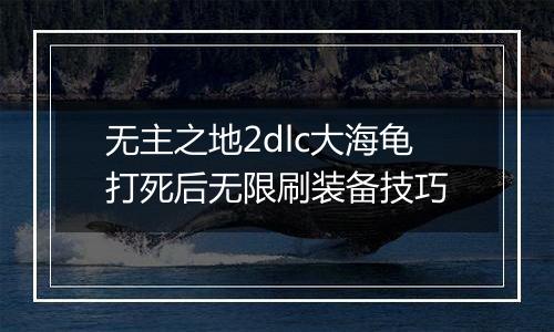无主之地2dlc大海龟打死后无限刷装备技巧