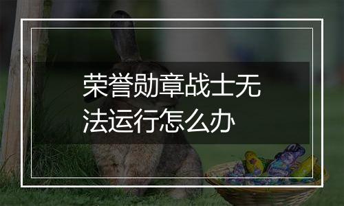 荣誉勋章战士无法运行怎么办