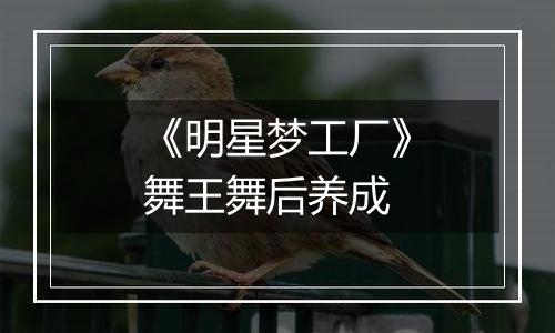 《明星梦工厂》舞王舞后养成