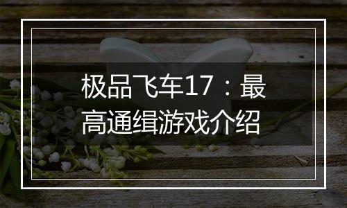 极品飞车17：最高通缉游戏介绍