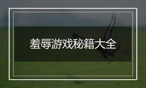 羞辱游戏秘籍大全